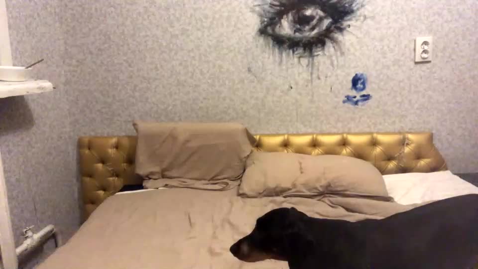 shyredstar Cam Model Chat September 26, 2025