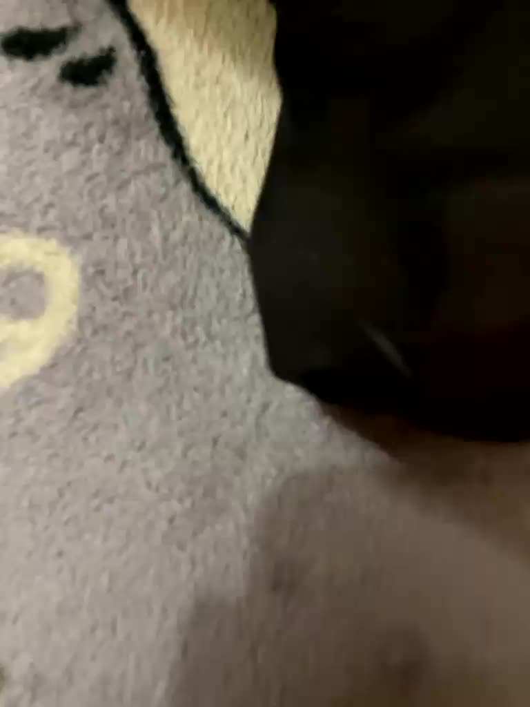 markAndhella Cam Model Chat September 26, 2025