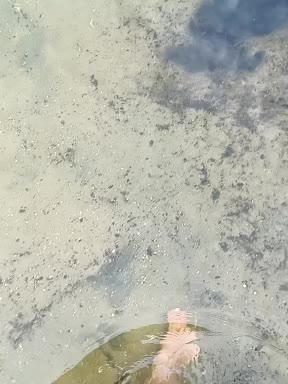 BabyMarm Cam Model Chat September 26, 2025