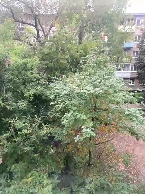 Zhozhoba69 Cam Model Chat September 26, 2025