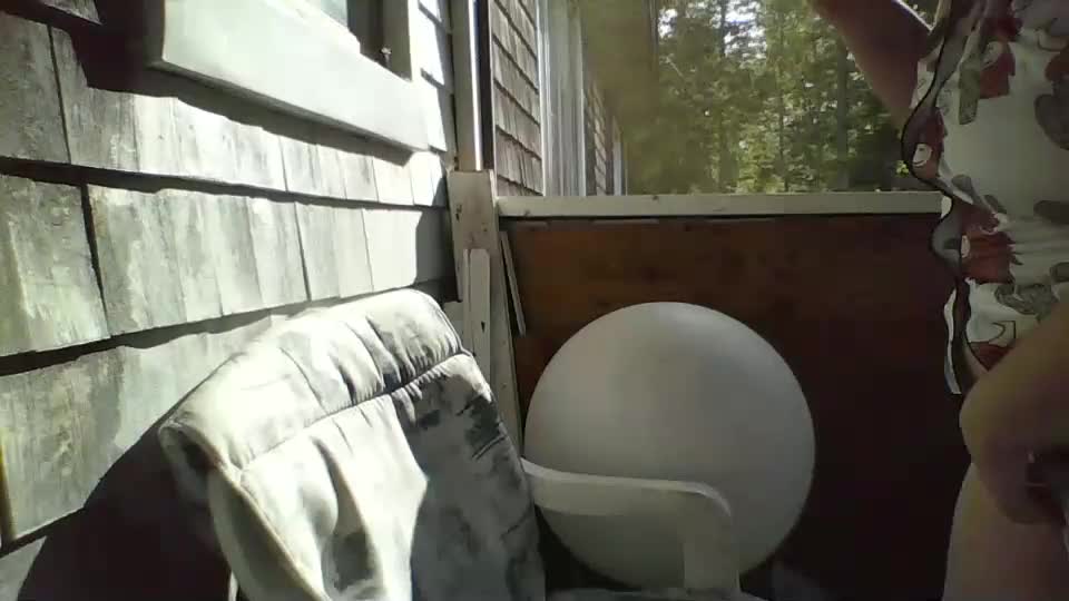 bedbandits Cam Model Chat September 26, 2025