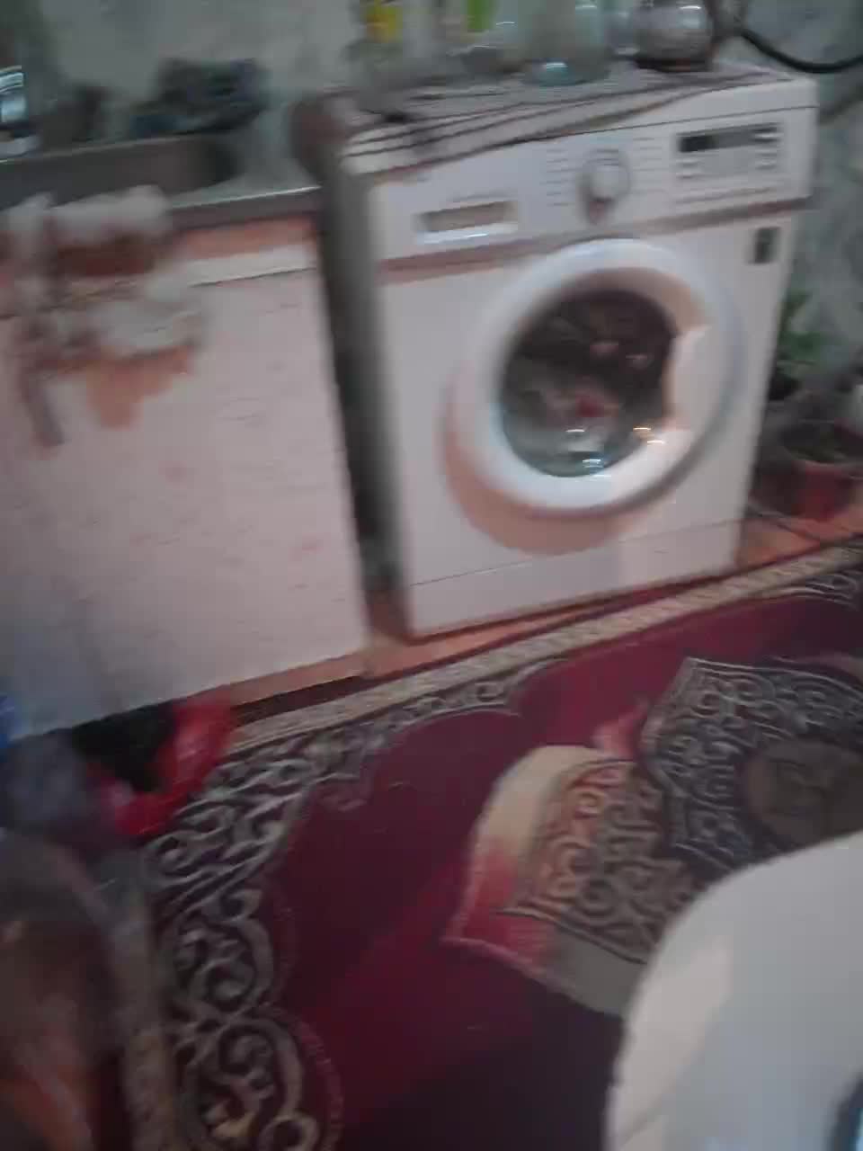 Diana17Eg Cam Model Chat September 26, 2025