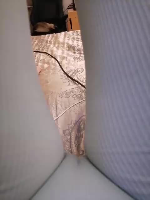 -Tiffany- Cam Model Chat September 26, 2025