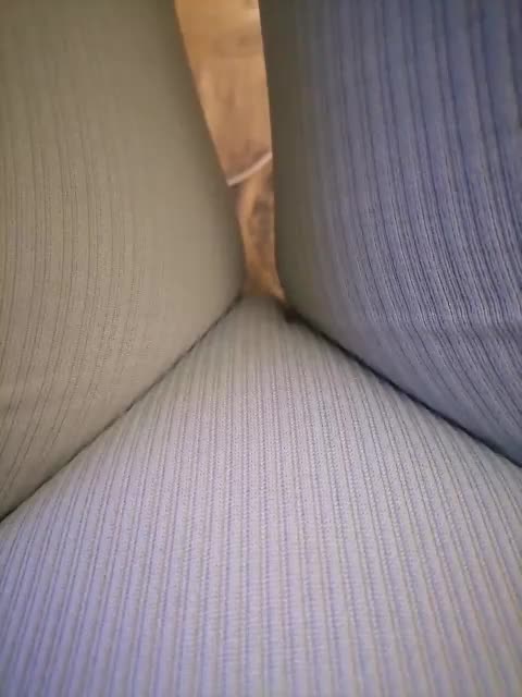 -Tiffany- Cam Model Chat September 26, 2025