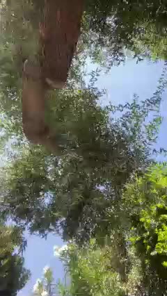 PrurientGem Cam Model Chat September 26, 2025