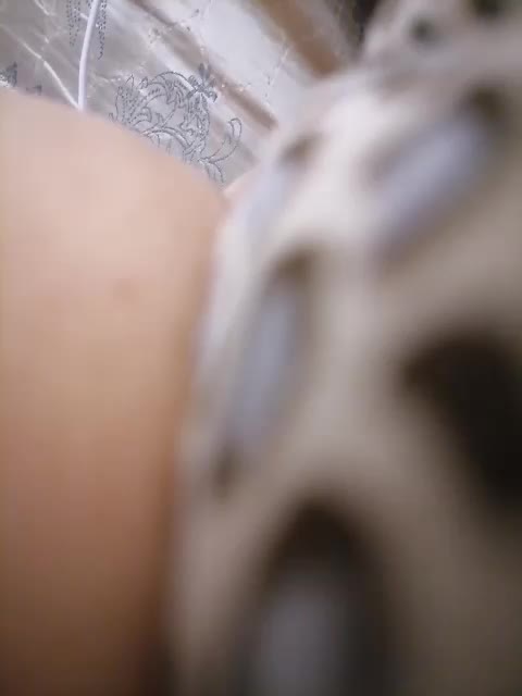 -Tiffany- Cam Model Chat September 26, 2025