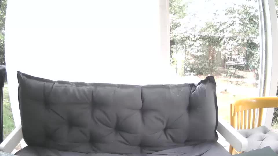 woodwurm Cam Model Chat September 27, 2025