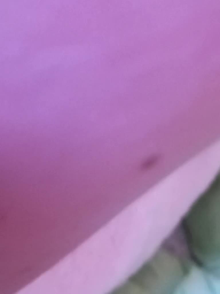 ShyOnes Cam Model Chat September 27, 2025