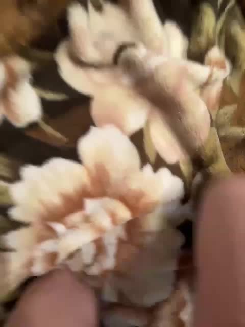 Aleksaa-11 Cam Model Chat September 27, 2025