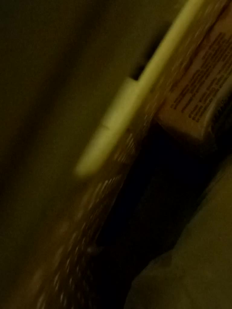 ShyOnes Cam Model Chat September 27, 2025