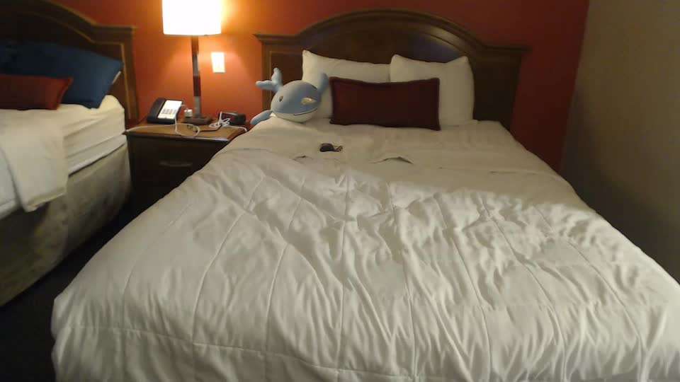 jadelondonxo Cam Model Chat September 27, 2025