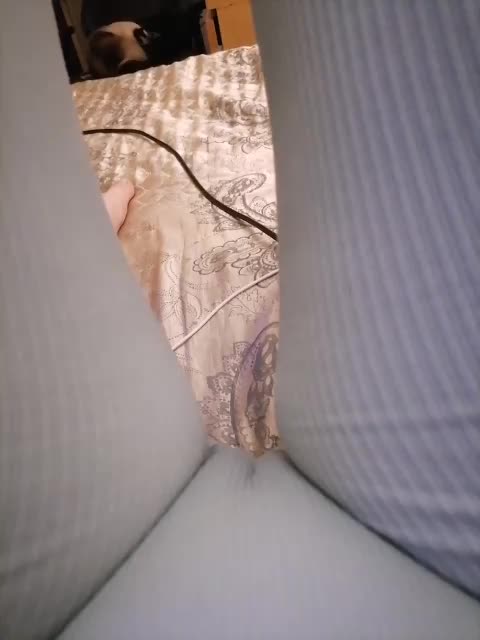 -Tiffany- Cam Model Chat September 27, 2025