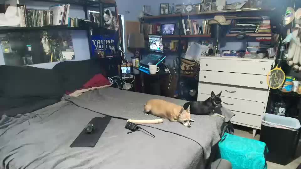 pink_black Cam Model Chat September 27, 2025