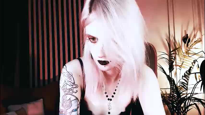 noah_elmer Cam Model Chat September 27, 2025