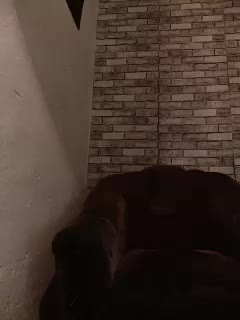 CerdAyaz Cam Model Chat September 27, 2025