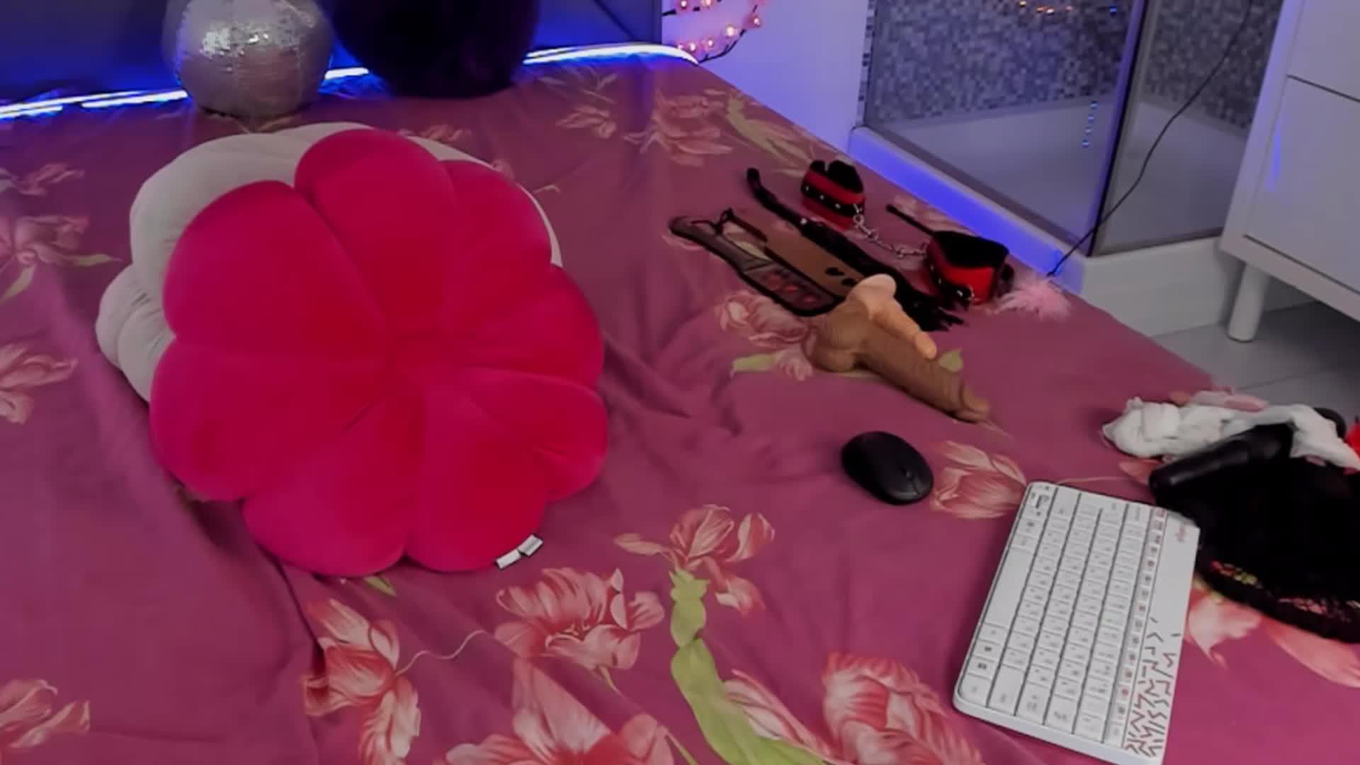 CassieEvans Cam Model Chat September 27, 2025