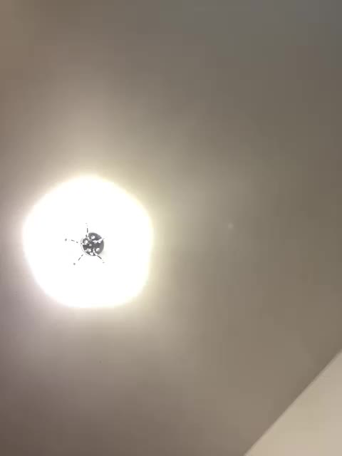 _-Afina-_ Cam Model Chat September 27, 2025