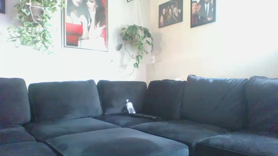 evanschris2048 Cam Model Chat September 27, 2025