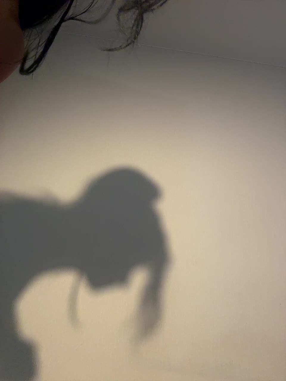 VULGARITY Cam Model Chat September 27, 2025