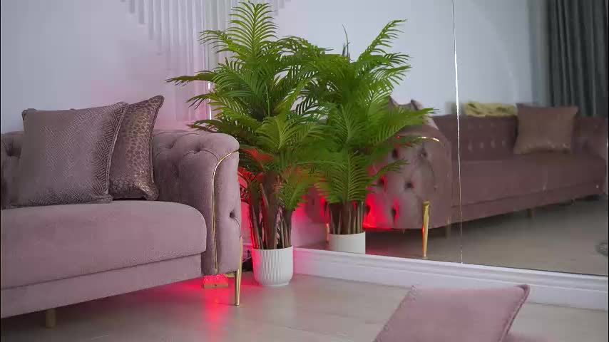 abbela_white Cam Model Chat September 27, 2025