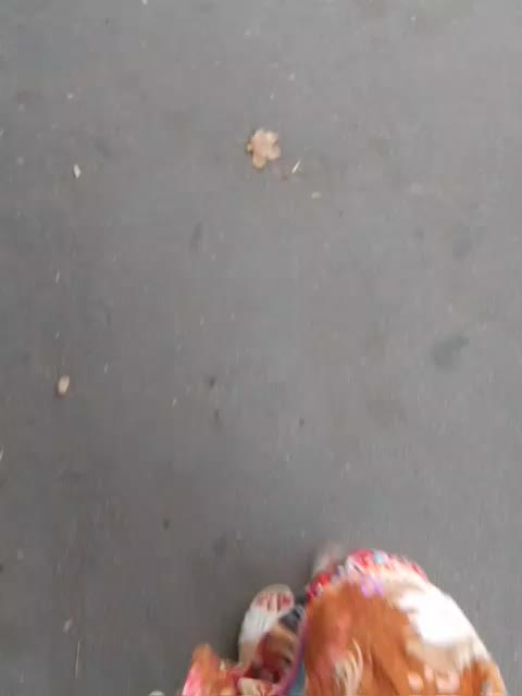 EVIL_TITS Cam Model Chat September 27, 2025