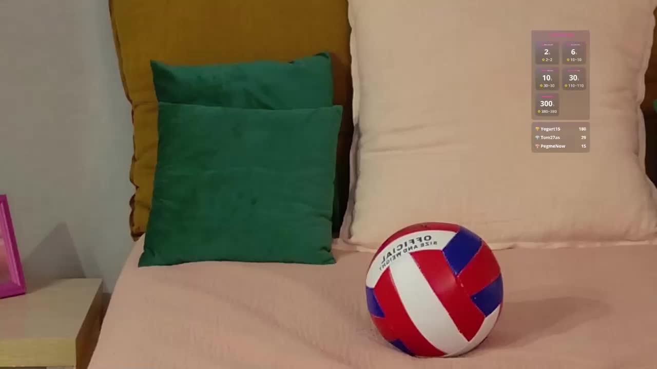 Visbee Cam Model Chat September 27, 2025