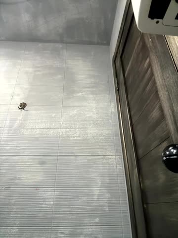 RinaCat Cam Model Chat September 27, 2025