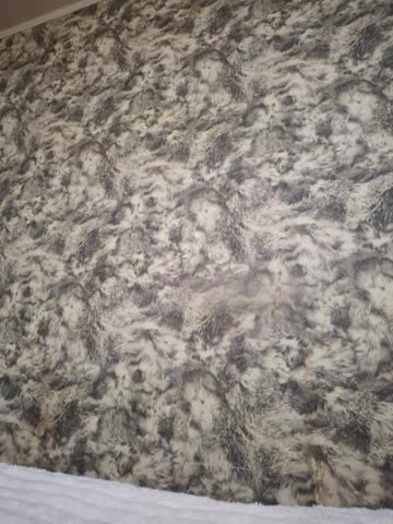 Butterfly_Lily Cam Model Chat September 27, 2025