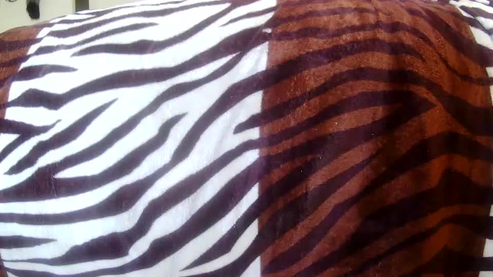 xbigtymerx Cam Model Chat September 27, 2025