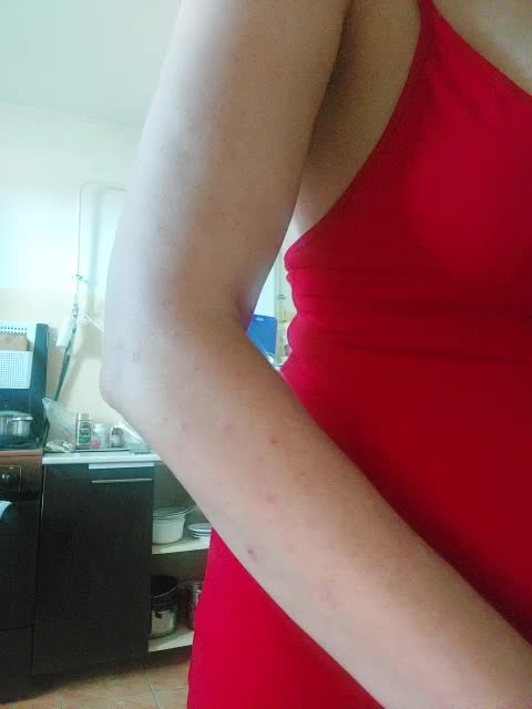 Nicollet Cam Model Chat September 27, 2025