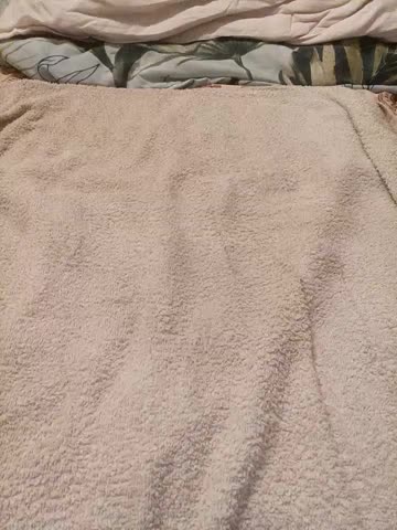 AnnalSV91 Cam Model Chat September 27, 2025