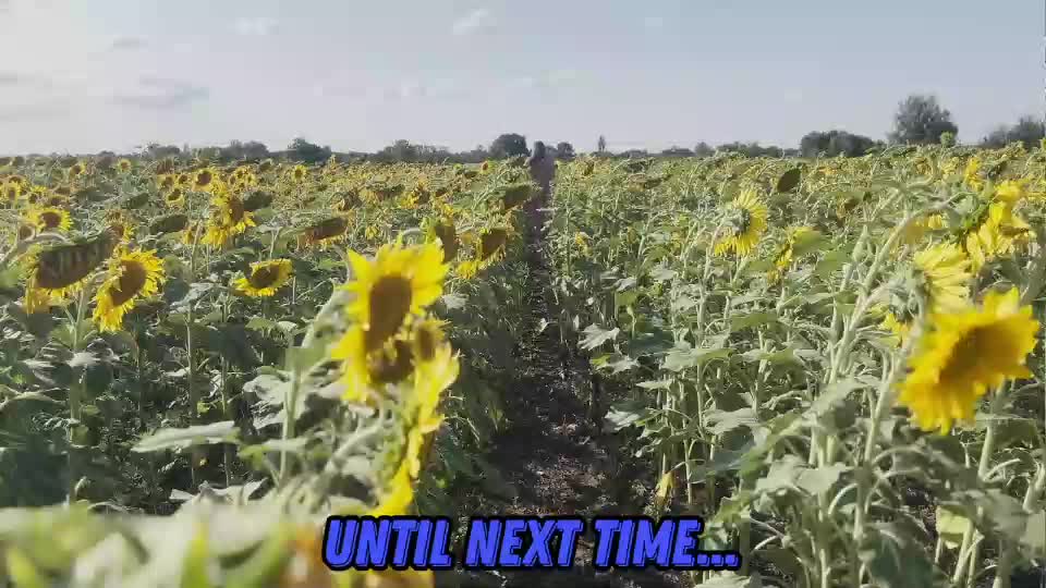 sunflower0907 Cam Model Chat September 27, 2025