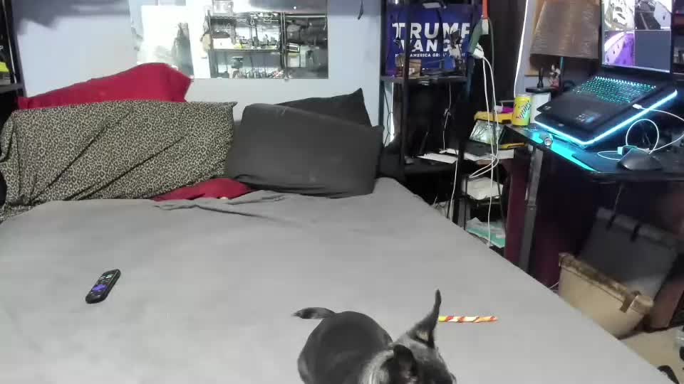 pink_black Cam Model Chat September 27, 2025