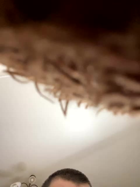 HellMor Cam Model Chat September 27, 2025