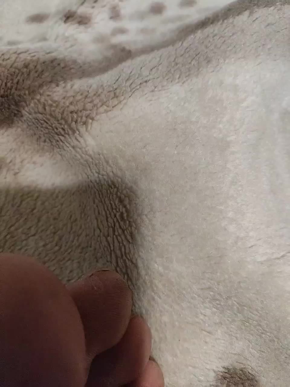 SexPara696969 Cam Model Chat September 27, 2025