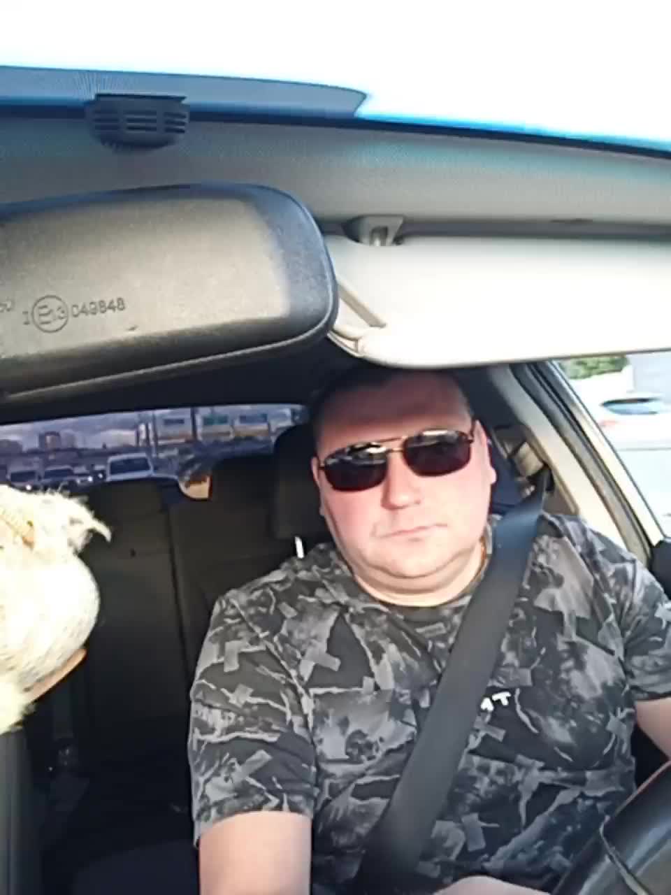 Pasha0864 Cam Model Chat September 27, 2025