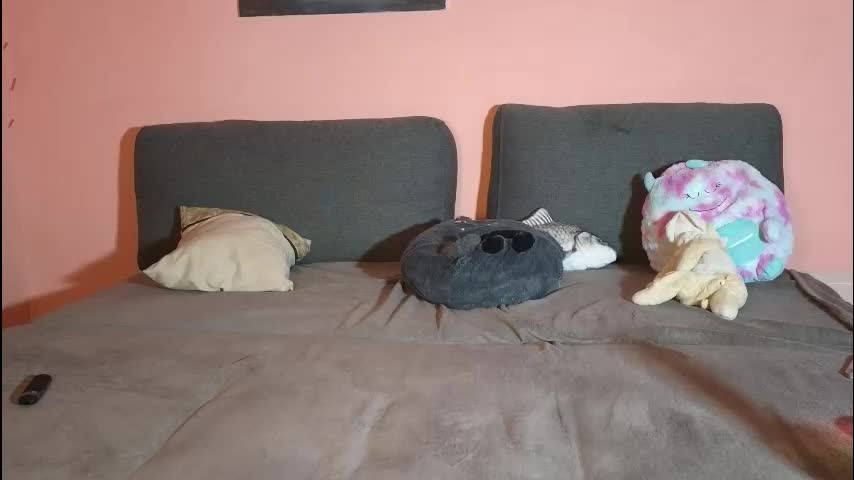 katusha008 Cam Model Chat September 27, 2025