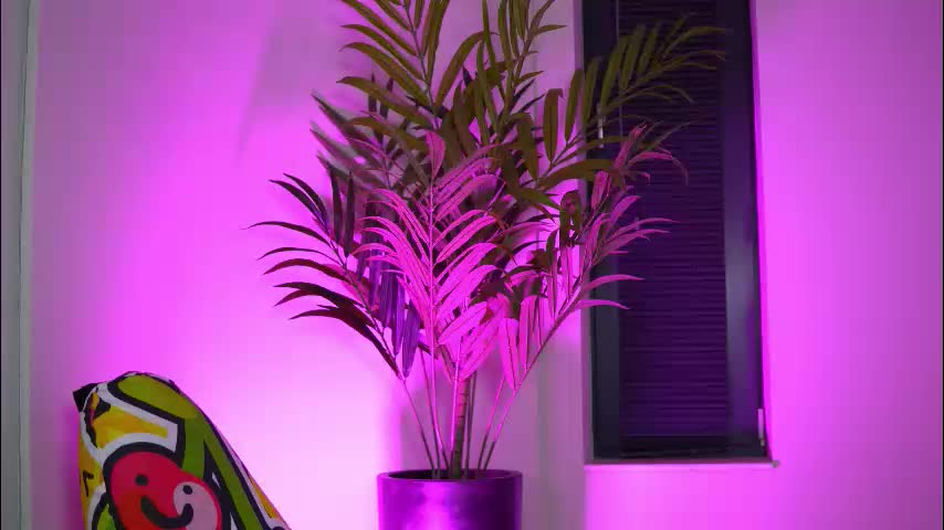 kimberdeee Cam Model Chat September 27, 2025