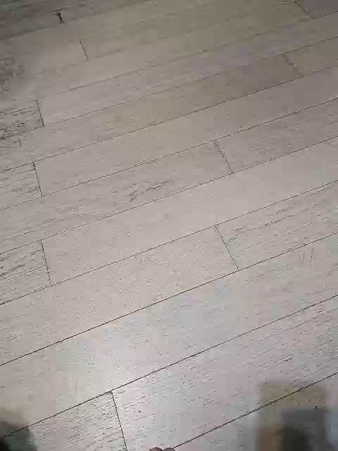 Dii-6 Cam Model Chat September 27, 2025