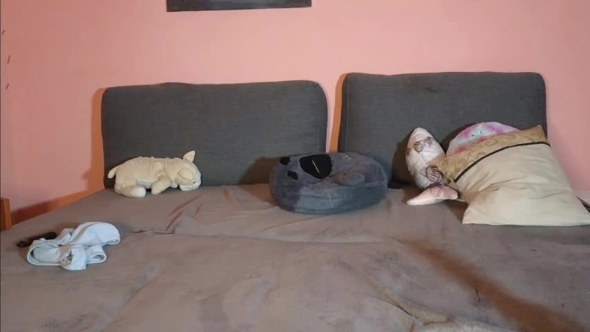 Katusha006 Cam Model Chat September 27, 2025