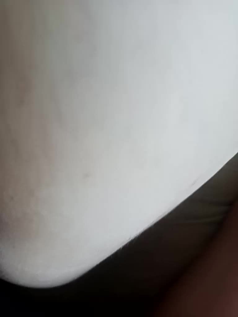 Andri2917 Cam Model Chat September 27, 2025