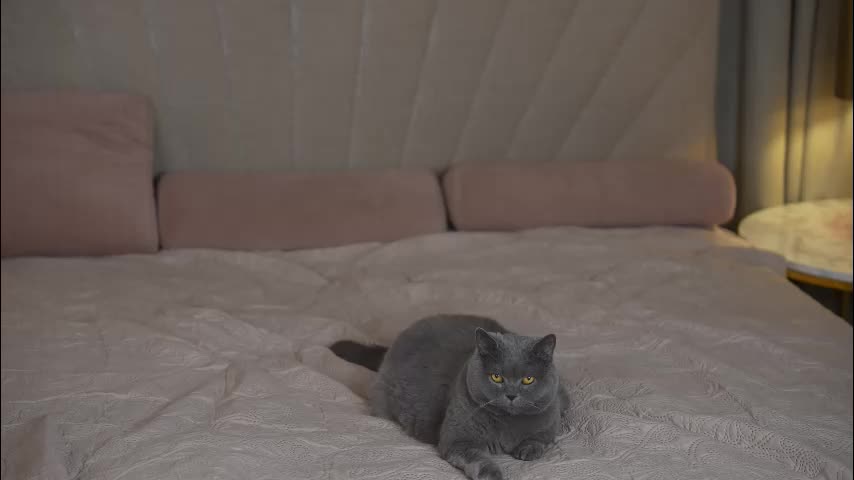 viktoria_storm Cam Model Chat September 27, 2025