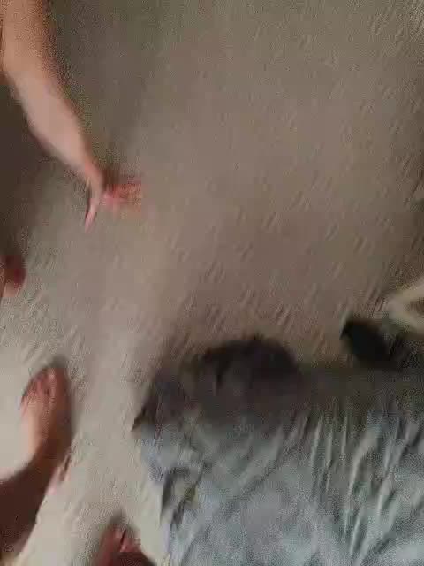 AleksaTop069 Cam Model Chat September 27, 2025