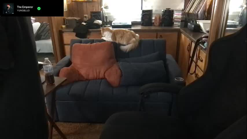 incognitoqueen Cam Model Chat September 27, 2025