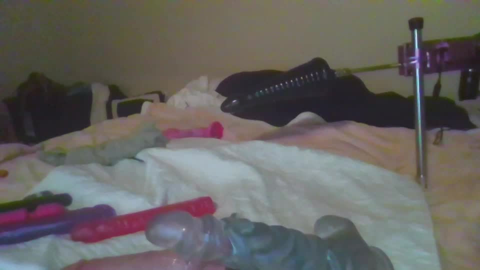 sdbeachfreaks Cam Model Chat September 27, 2025