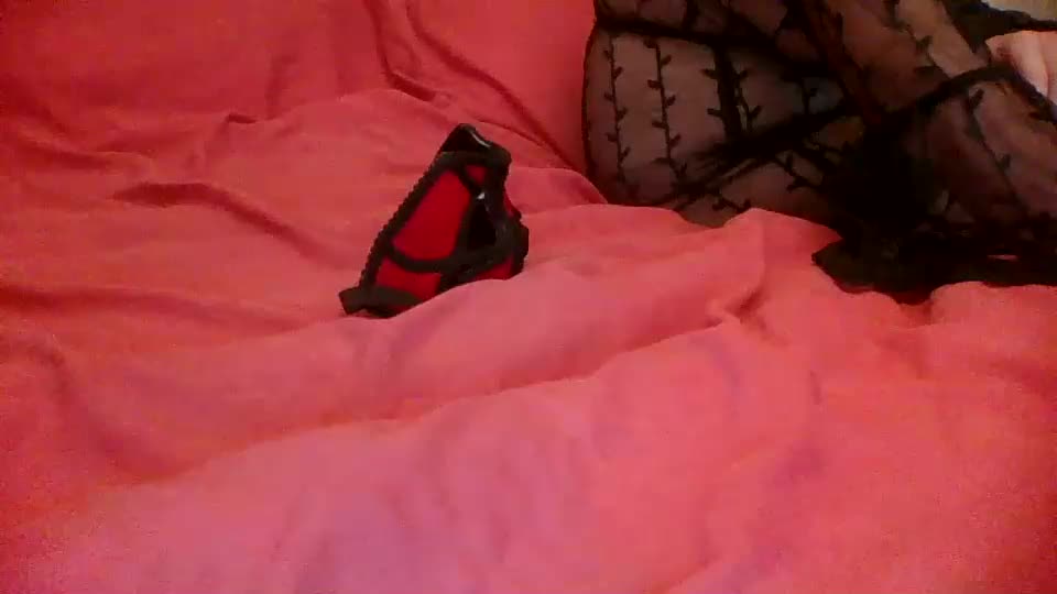 annecharlie Cam Model Chat September 27, 2025