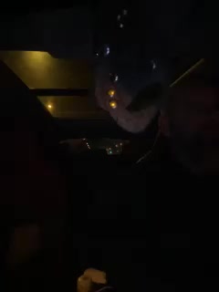 YuGoVi Cam Model Chat September 27, 2025