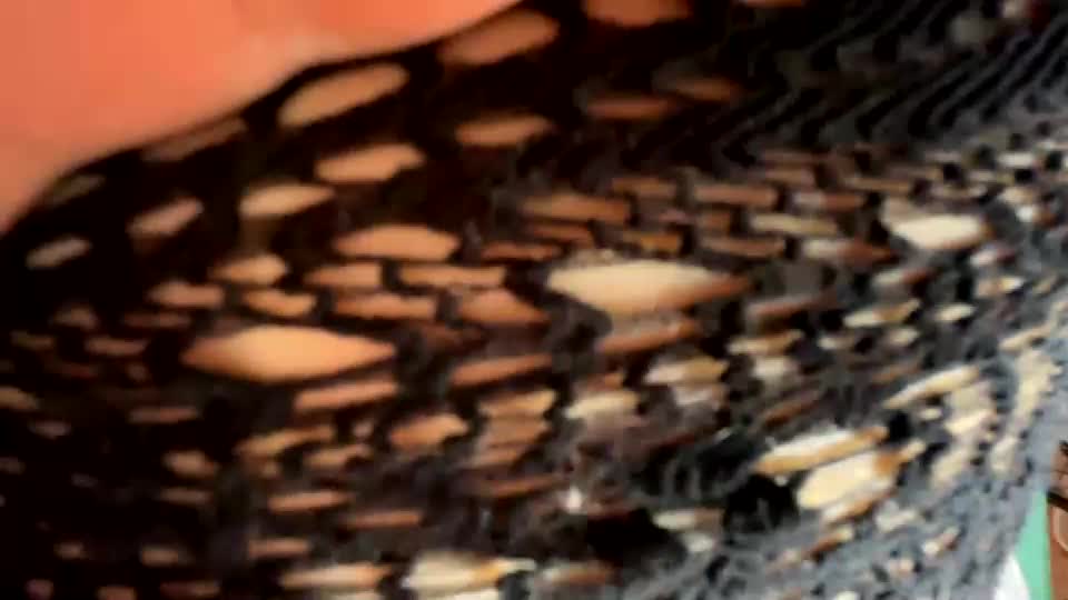 bohemianrhapsody1 Cam Model Chat September 27, 2025