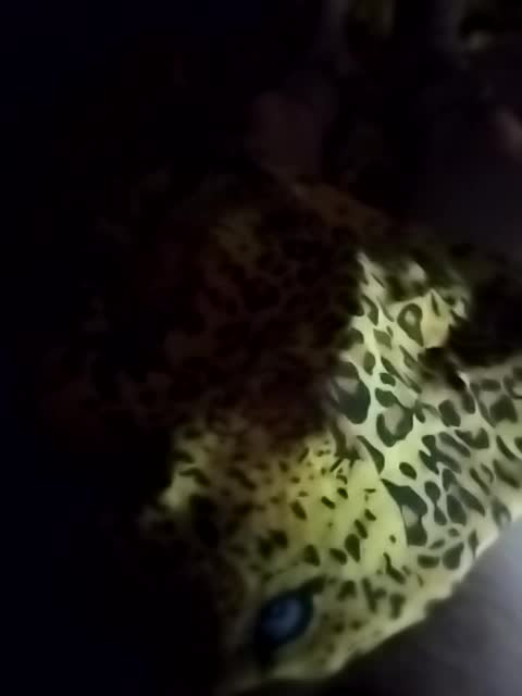 Designer011 Cam Model Chat September 27, 2025