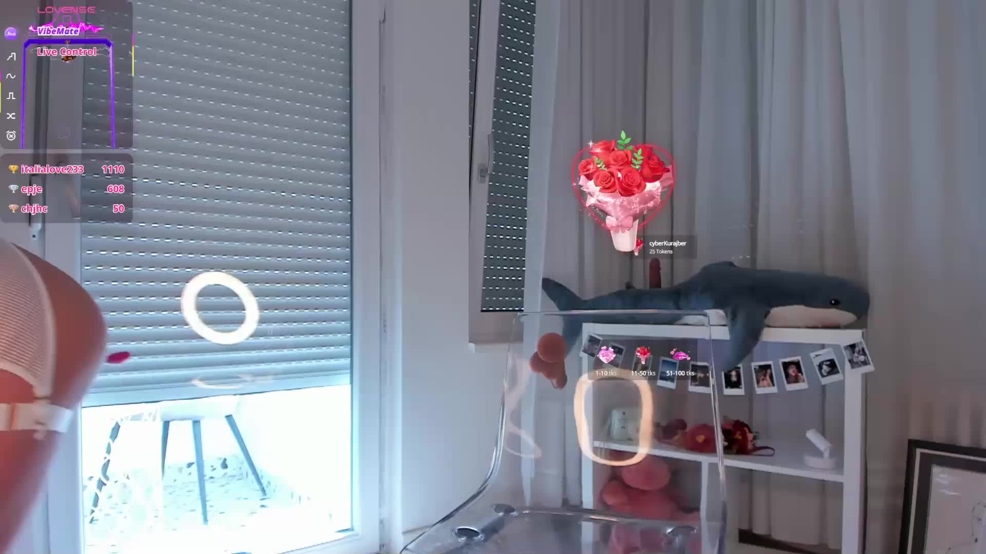 seilyfox Cam Model Chat September 27, 2025